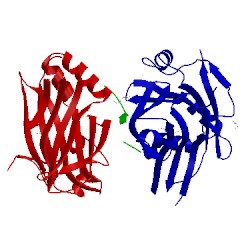 Image of CATH 4ln0