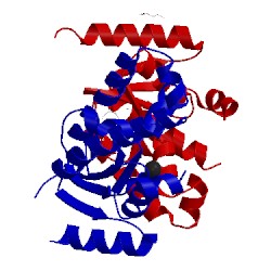 Image of CATH 4loa