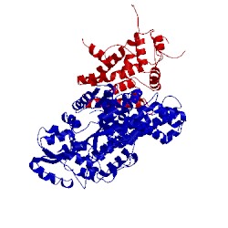 Image of CATH 4log