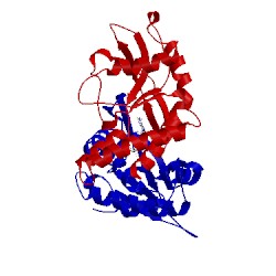 Image of CATH 4loh