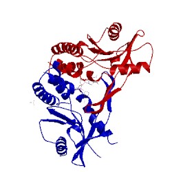 Image of CATH 4loi