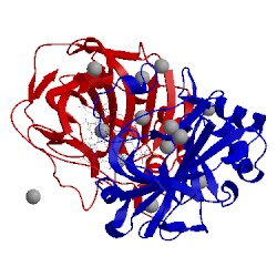 Image of CATH 4lp6