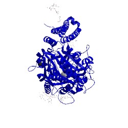 Image of CATH 4lqg