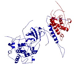 Image of CATH 4lqp