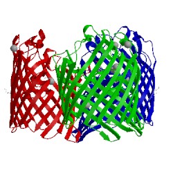 Image of CATH 4lse