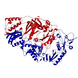 Image of CATH 4lsl