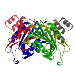 Image of CATH 4lsz