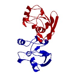 Image of CATH 4ltu