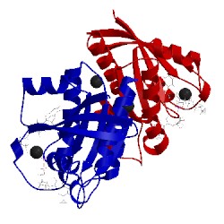 Image of CATH 4luc