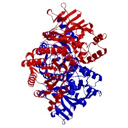 Image of CATH 4lva