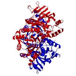 Image of CATH 4lvb