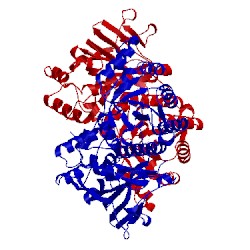 Image of CATH 4lvd