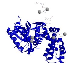 Image of CATH 4lvs