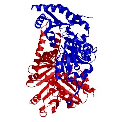 Image of CATH 4lw4