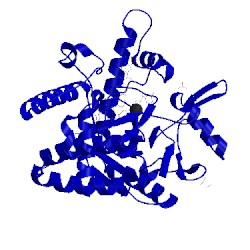 Image of CATH 4lwb