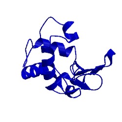 Image of CATH 4lyo