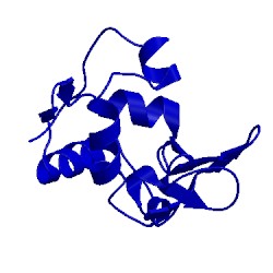 Image of CATH 4lyz