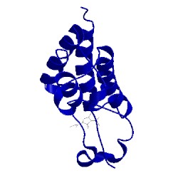 Image of CATH 4lzs