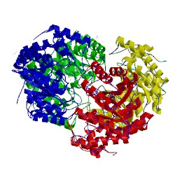 Image of CATH 4m19