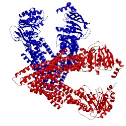 Image of CATH 4m2t