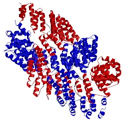 Image of CATH 4m59