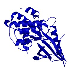 Image of CATH 4m67