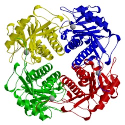 Image of CATH 4m6r