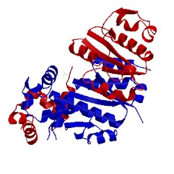 Image of CATH 4m6w