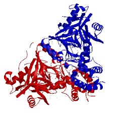 Image of CATH 4m9d