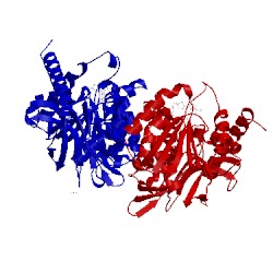 Image of CATH 4mdh