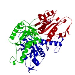 Image of CATH 4mej