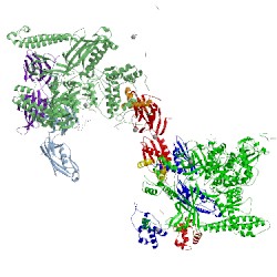 Image of CATH 4mex