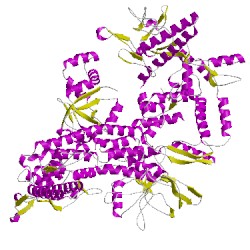 Image of CATH 4meyJ