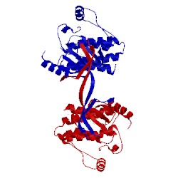 Image of CATH 4mf0