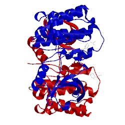 Image of CATH 4mf1