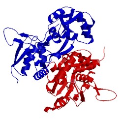 Image of CATH 4mf3