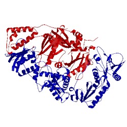Image of CATH 4mfb