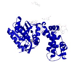 Image of CATH 4mff