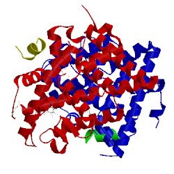 Image of CATH 4mg5