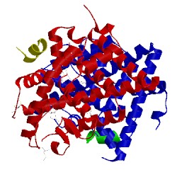 Image of CATH 4mg7