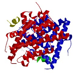 Image of CATH 4mgb