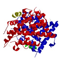 Image of CATH 4mgc