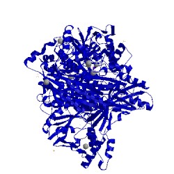 Image of CATH 4mgh