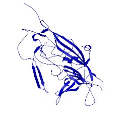Image of CATH 4mgu