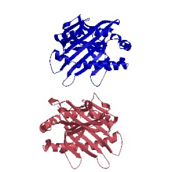 Image of CATH 4mji