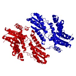 Image of CATH 4mk4
