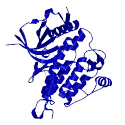 Image of CATH 4mkc