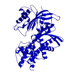 Image of CATH 4mle