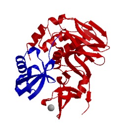 Image of CATH 4mm3