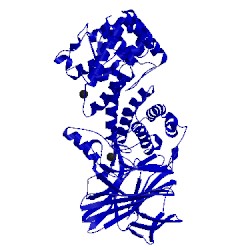 Image of CATH 4mmi